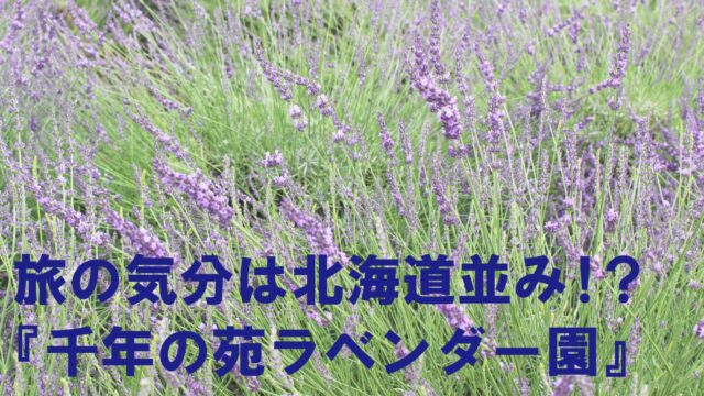 アイキャッチ画像