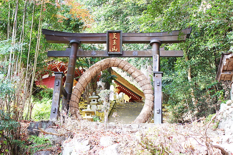 竹寺の鳥居。筑の輪があります