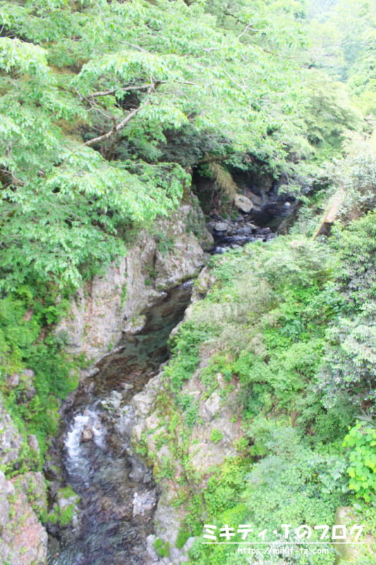 バス停を降りた直後に見た川