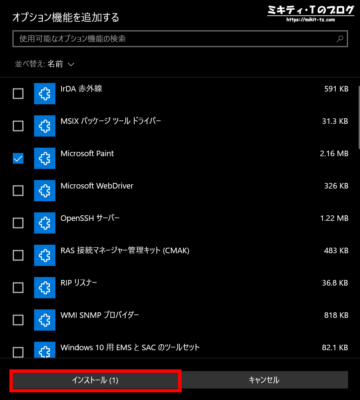 Windows10 オプション機能画面