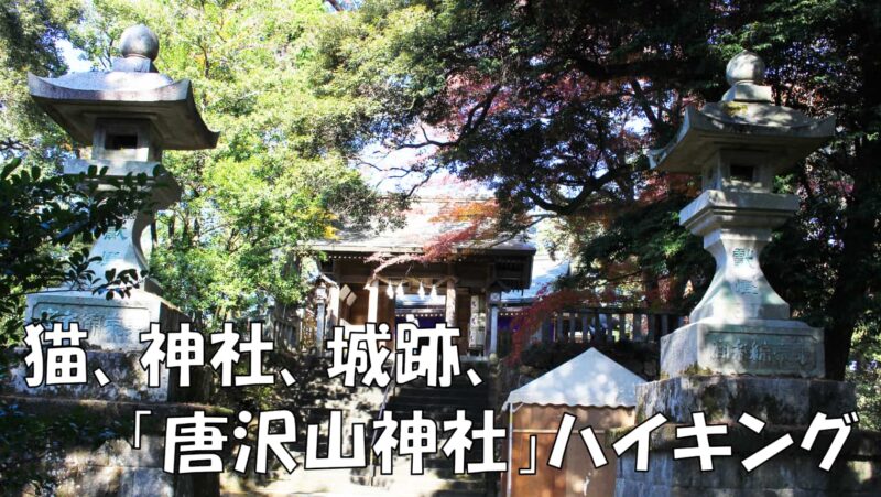 アイキャッチ画像