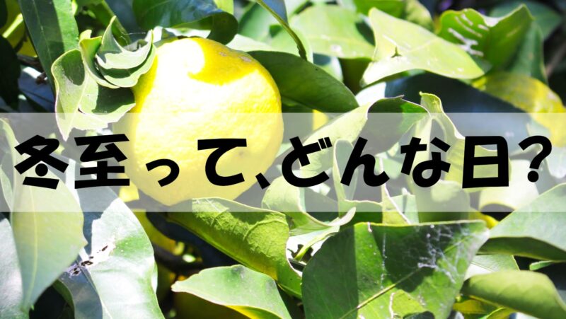 冬至とはどうゆう日?ゆず湯・かぼちゃを食べる由来などを解説