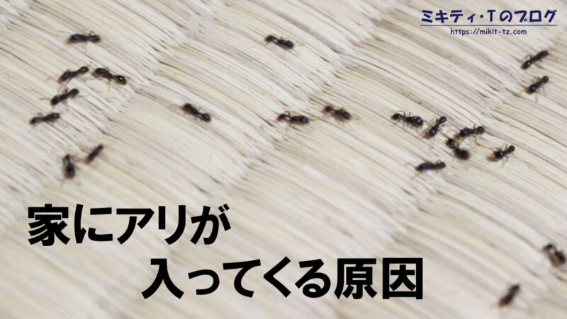 ガスの多いうんちはどうやって処理しますか?