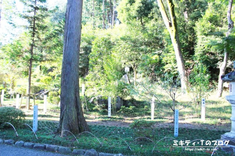 高麗神社・記念樹