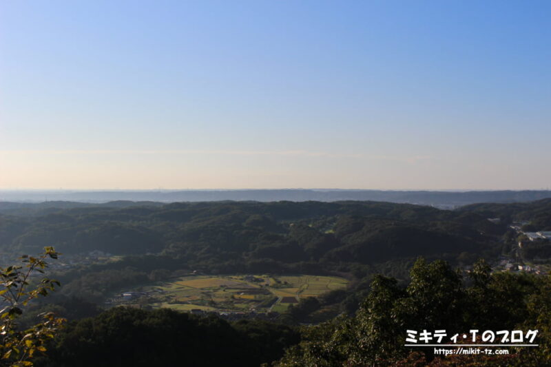 日和田山・金刀比羅神社の二ノ鳥居からの眺め。巾着田が見えます