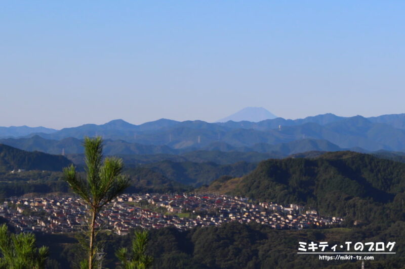 日和田山・金刀比羅神社の二ノ鳥居からの眺め。晴れの日は富士山が見えます