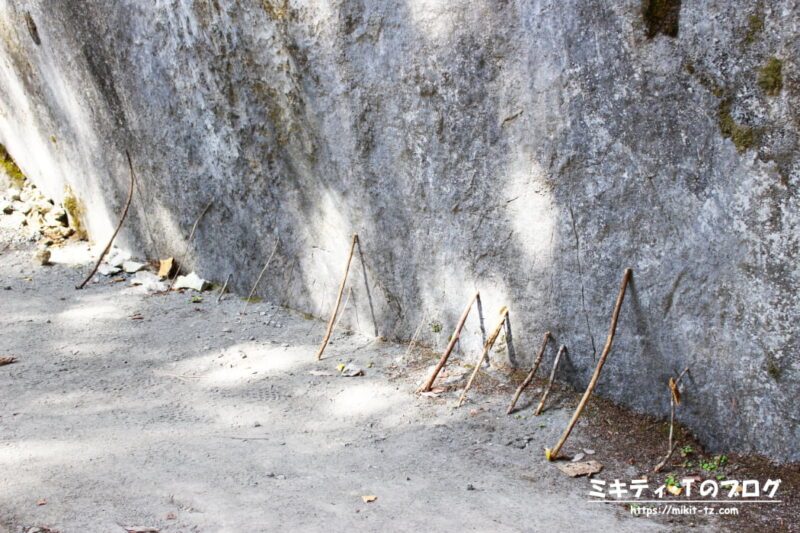奥多摩むかしみちハイキングコース・白髭神社境内にて、岩の根元に立てかかる数本の枝