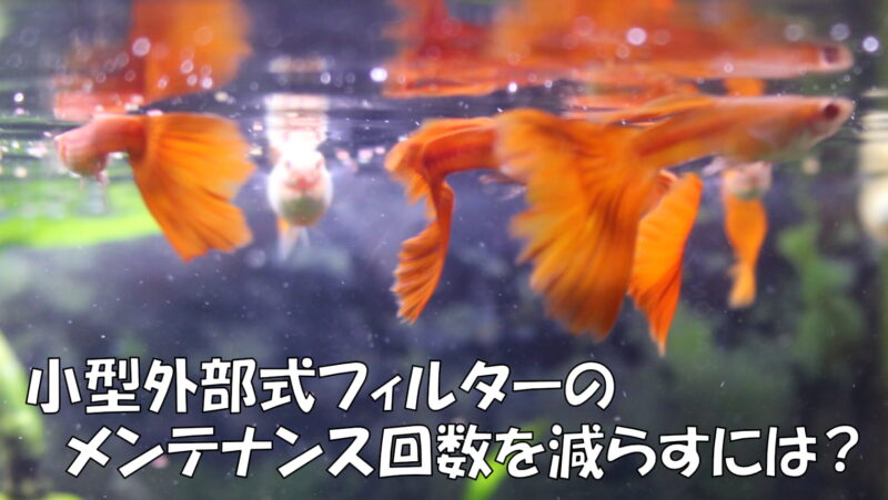 小型外部式フィルターのメンテナンス回数を減らすには?