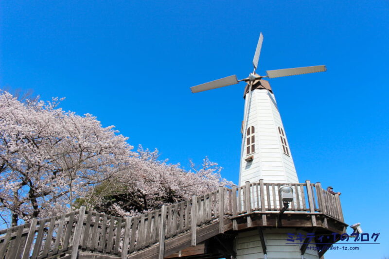 見晴公園の風車と桜