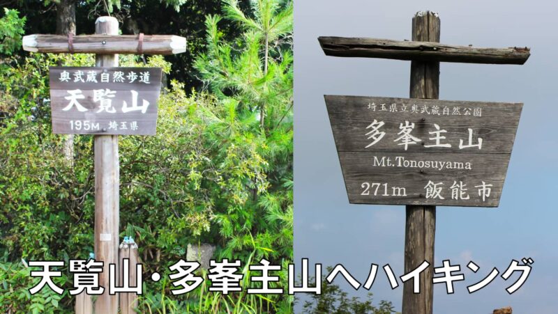 天覧山・多峯主山へハイキング