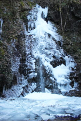 氷瀑した払沢の滝