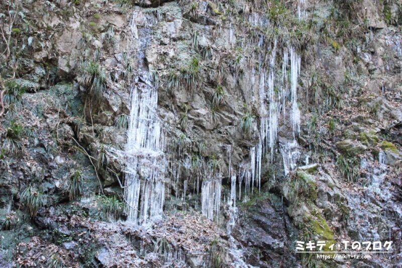 氷瀑した払沢の滝の氷柱