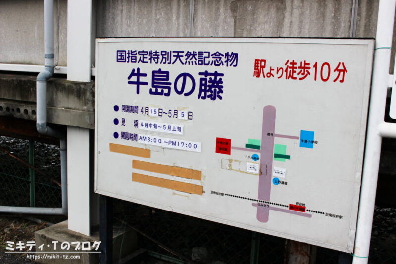 東武アーバンパークライン（東武野田線）藤の牛島駅付近にて 「牛島の藤」案内看板
