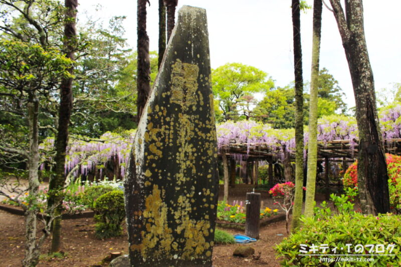 「牛島の藤」石碑