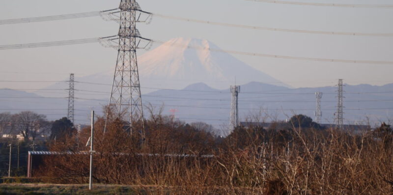 川島町白鳥飛来地近くの川の土手から富士山を眺める