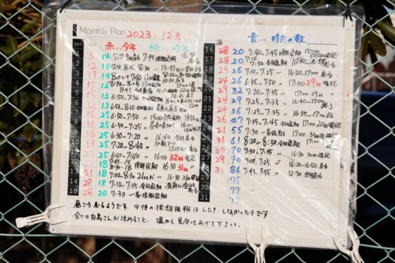 川島町白鳥飛来地駐車場前付近に掲示されている「これまでのコハクチョウの飛来数」