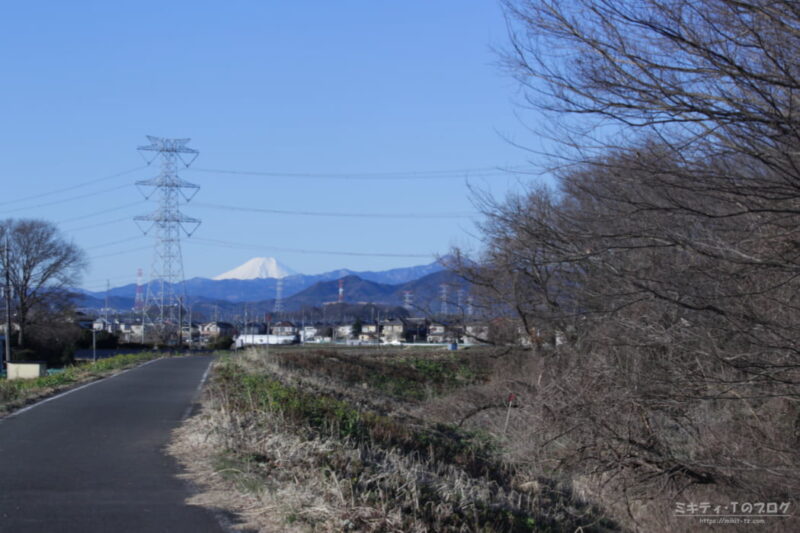 浅羽ビオトープからの富士山