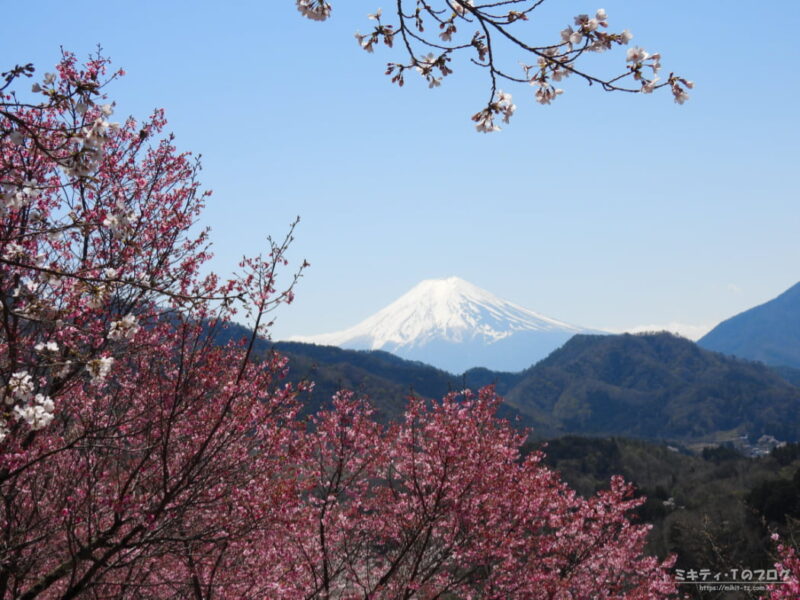 真木お伊勢山から富士山を眺める