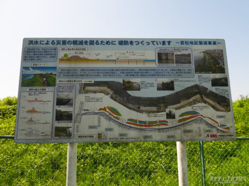 手賀沼公園から手賀大橋まで堤防工事中で堤防の上遊歩道は立ち入り禁止でした。