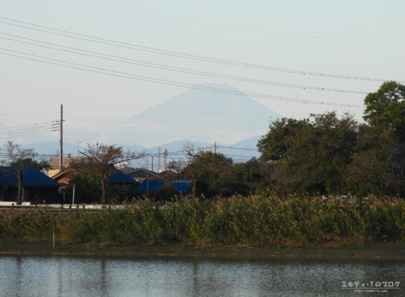 伊佐沼から富士山が見えます