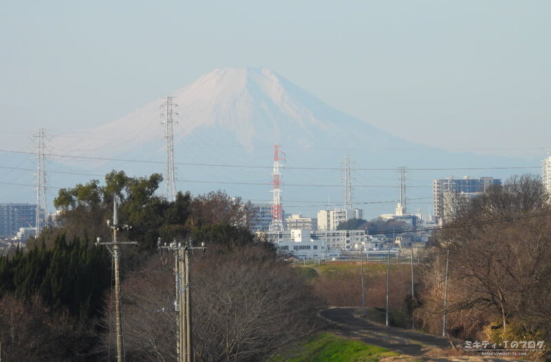 さくら草公園正面から真っ白な富士山を眺める