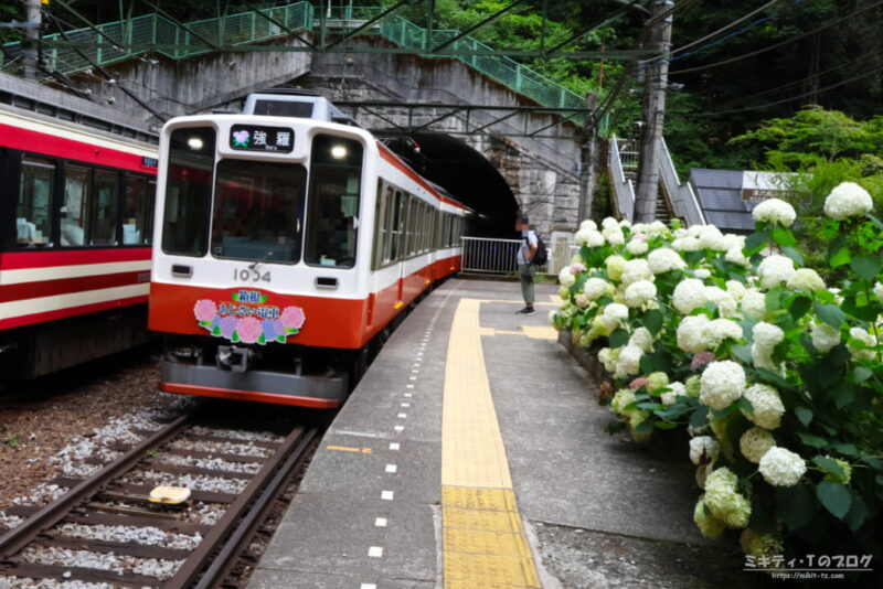 塔ノ沢駅・強羅往き「あじさいヘッドマークを付けたあじさい電車」