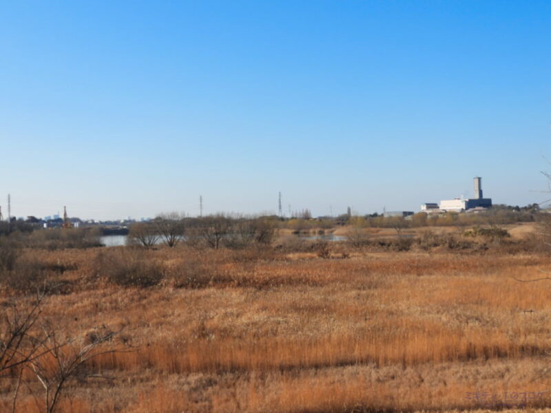 芝川第一調節池