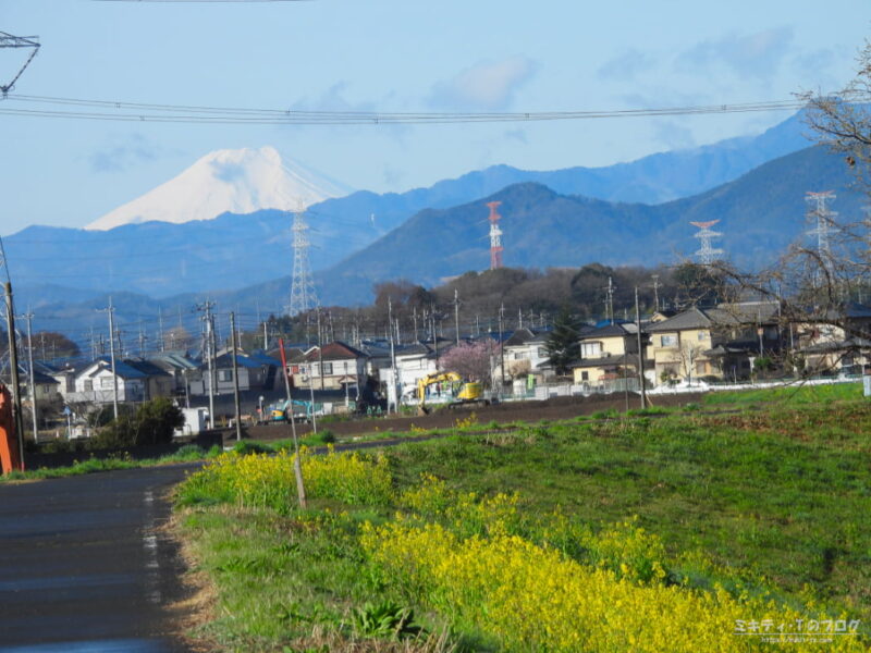 浅羽ビオトープ周辺から見える富士山