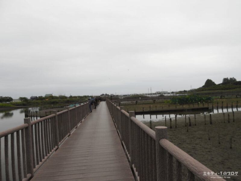 伊佐沼